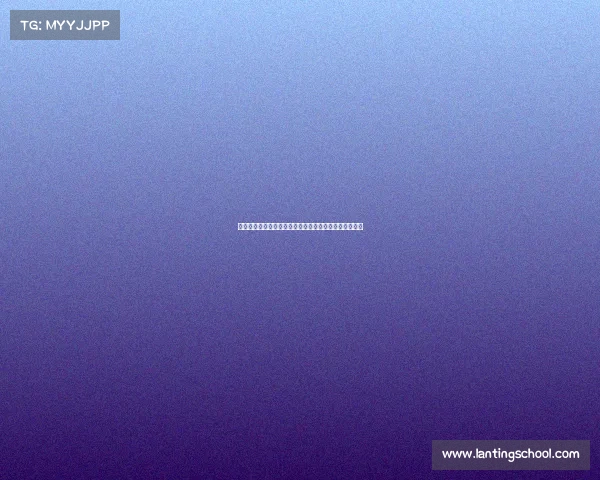 德甲新秀崛起:年轻球员如何影响德国足球的未来与发展 德甲新秀崛起:年轻球员如何影响德国足球的未来与发展